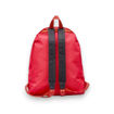 Picture of HARRY POTTER RED BACKPACK